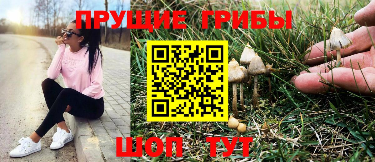 Стрежевой  как найти закладки  Вход с VPN  Псилоцибиновые грибы прущие грибы 